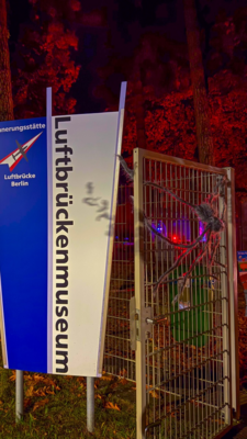 Groß (IMG_4164).jpeg