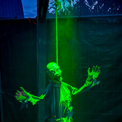 Groß (IMG_4121).jpeg