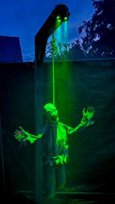 Groß (IMG_4121).jpeg