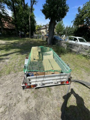 IMG_6587 conv (Groß).jpeg