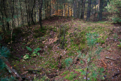 IMG_8100.jpg