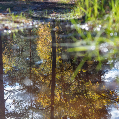 Groß (IMG_5099).jpeg