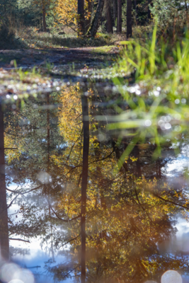 Groß (IMG_5099).jpeg