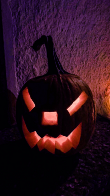 Groß (IMG_4148).jpeg