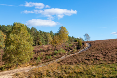 Groß (IMG_5114).jpeg