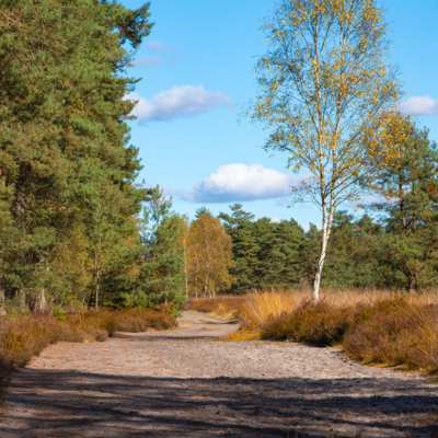 Groß (IMG_5106).jpeg