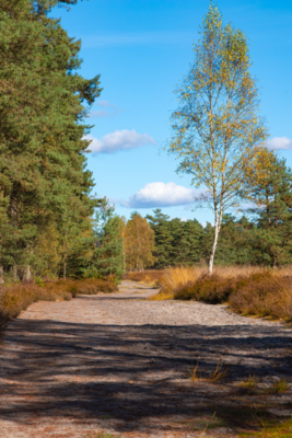 Groß (IMG_5106).jpeg