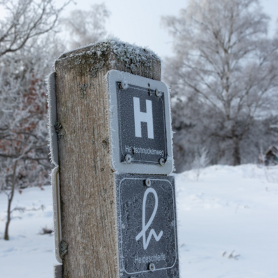 Groß (260111_Schnee_am_Lönsstein_IMG_5431).jpeg