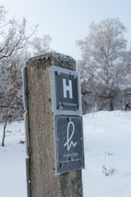 Groß (260111_Schnee_am_Lönsstein_IMG_5431).jpeg