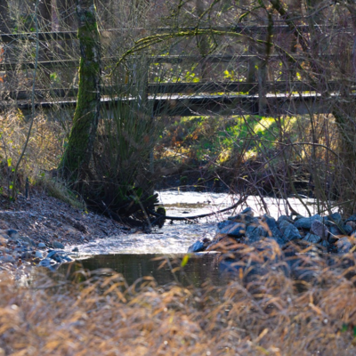Groß (IMG_7958_HeideseeMüden_020125).jpeg