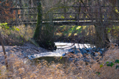 Groß (IMG_7958_HeideseeMüden_020125).jpeg