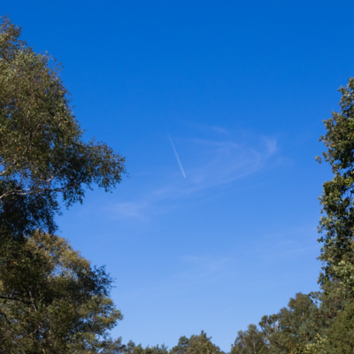 Groß (IMG_5018).jpeg