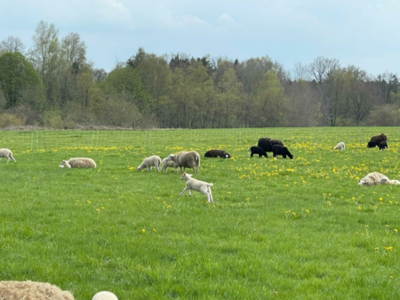 IMG_5366 (Groß).jpg