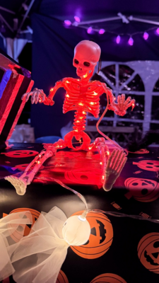 Groß (IMG_4157).jpeg