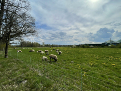 IMG_5360 (Groß).jpg