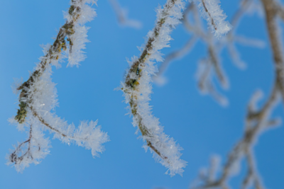 Groß (260111_Schnee_am_Lönsstein_IMG_5423).jpeg