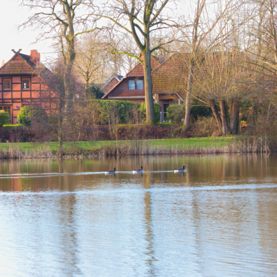 Groß (IMG_7960)_HeideseeMüden_020125.jpeg