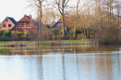 Groß (IMG_7960)_HeideseeMüden_020125.jpeg