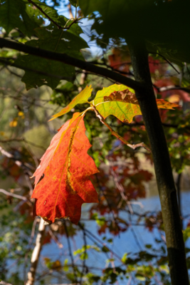 Groß (IMG_4964).jpeg