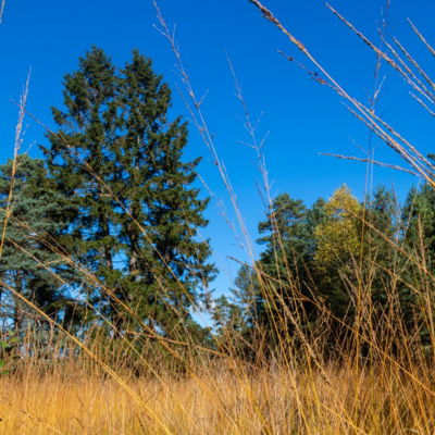 Groß (IMG_5090).jpeg