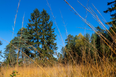 Groß (IMG_5090).jpeg