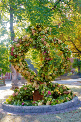 Groß (IMG_4954).jpeg