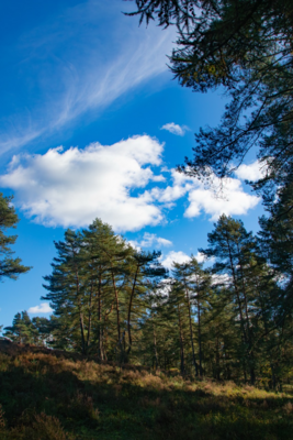 Groß (IMG_5113).jpeg