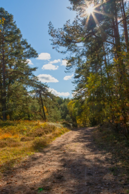 Groß (IMG_5089-Bearbeitet).jpeg