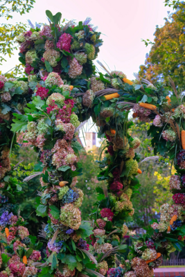 IMG_7170_herbstkrone2024.jpg