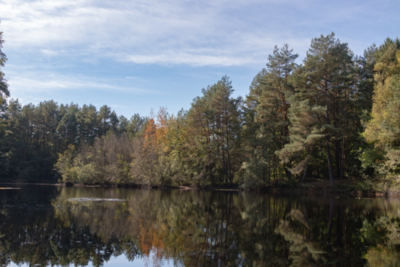 Groß (IMG_4963).jpeg