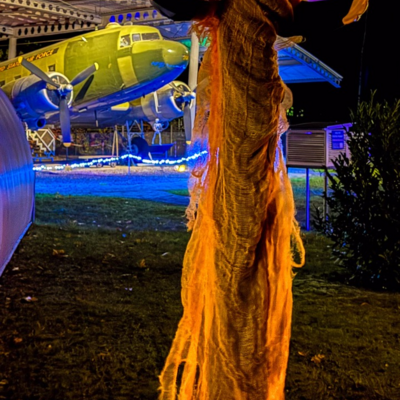 Groß (IMG_4167).jpeg