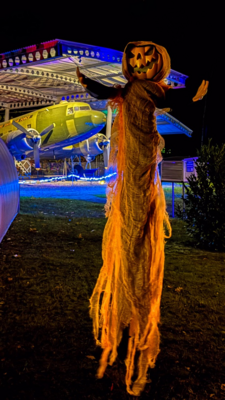 Groß (IMG_4167).jpeg