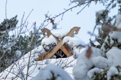 Groß (260111_Schnee_am_Lönsstein_IMG_5456).jpeg