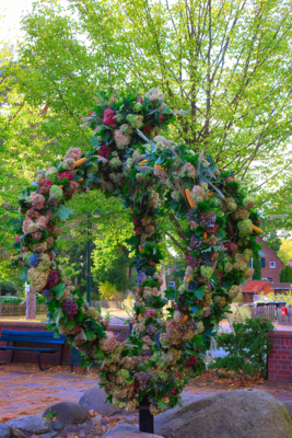 IMG_7171_herbstkrone2024.jpg