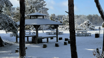 90843282-8F3B-40F0-B344-6764C7D0BD25.jpeg