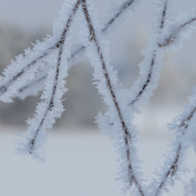 Groß (260111_Schnee_am_Lönsstein_IMG_5432).jpeg