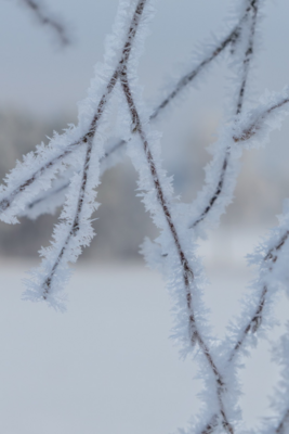 Groß (260111_Schnee_am_Lönsstein_IMG_5432).jpeg