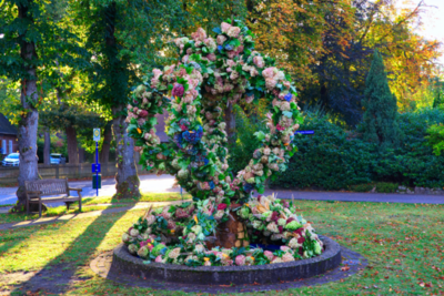 IMG_7161_herbstkrone2024.jpg