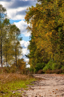 Groß (IMG_5105-Bearbeitet).jpeg