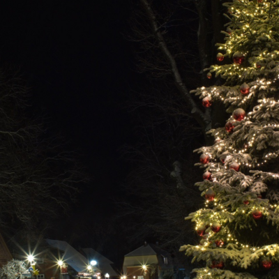 IMG_8059.jpeg