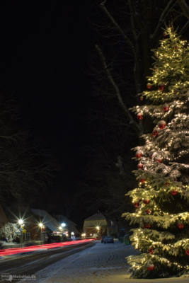 IMG_8059.jpeg