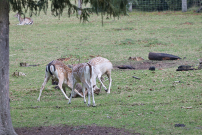 IMG_7302_topaz.jpeg