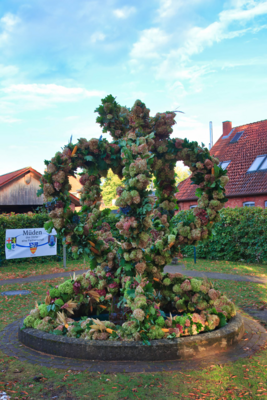 IMG_7150_herbstkrone2024.jpg