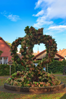 IMG_7149_herbstkrone2024.jpg