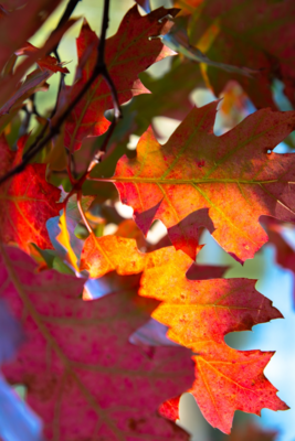 Groß (IMG_4969).jpeg