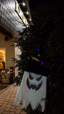 Groß (IMG_4185).jpeg