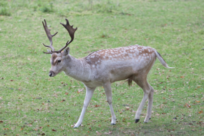 IMG_7262_topaz.jpeg
