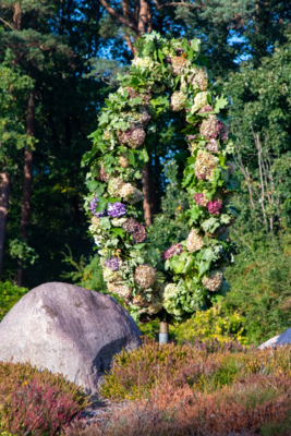 Groß (IMG_4958).jpeg