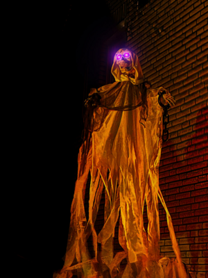 IMG_7680_genErase.jpg