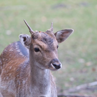 IMG_7254_topaz.jpeg